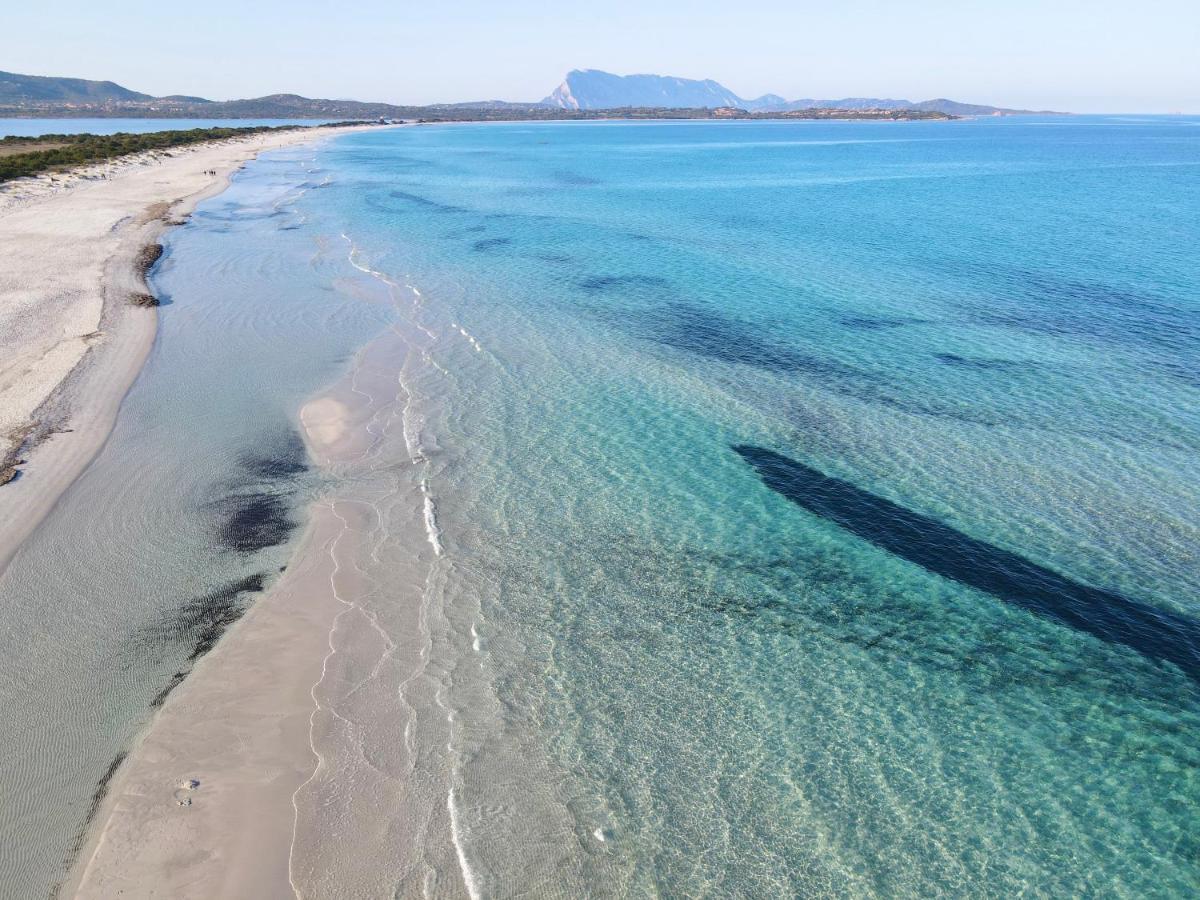 Iss Travel, San Teodoro 1 - 100 M From Cala D'Ambra Beach Luaran gambar